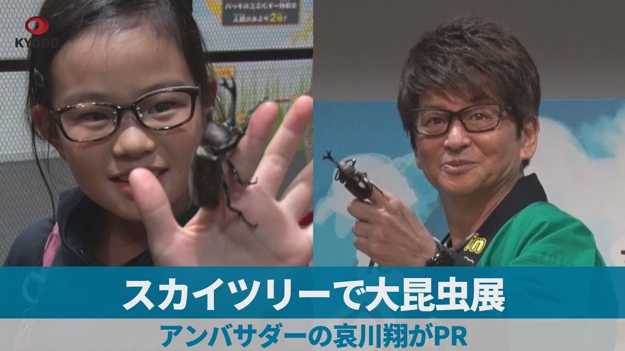 スカイツリーで大昆虫展 アンバサダーの哀川翔がPR