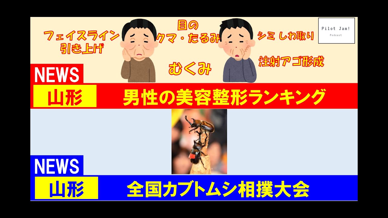 ニュース  男性の美容整形ランキング・全国カブトムシ相撲大会 【Podcast『パイロット・ジャム』#283】