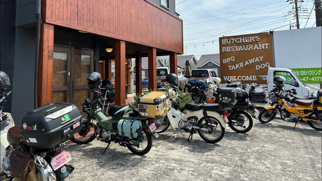 坂口憲二くんの紹介の店に行ってきますっ〜好きな女子の好みはハリハリ？ダルダル？の巻〜