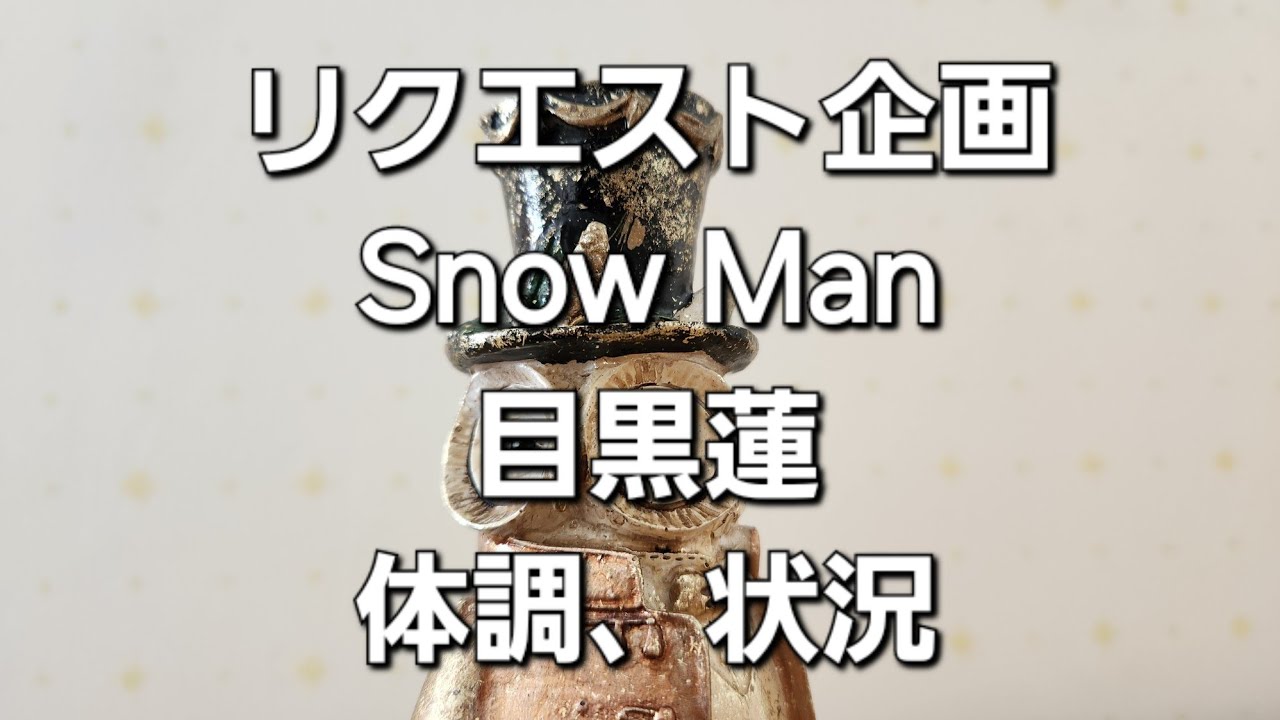 リクエスト企画　Snow Man目黒蓮の体調、状況をタロットでみた