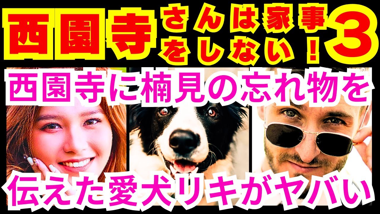 【西園寺さんは家事をしない 3話】西園寺一妃（松本若菜）と楠見俊直（松村北斗）が悔やんでいる事に対する義母の回答「誰の●●●●●●」【松本若菜】【松村北斗】【津田健次郎】【SixTONES】