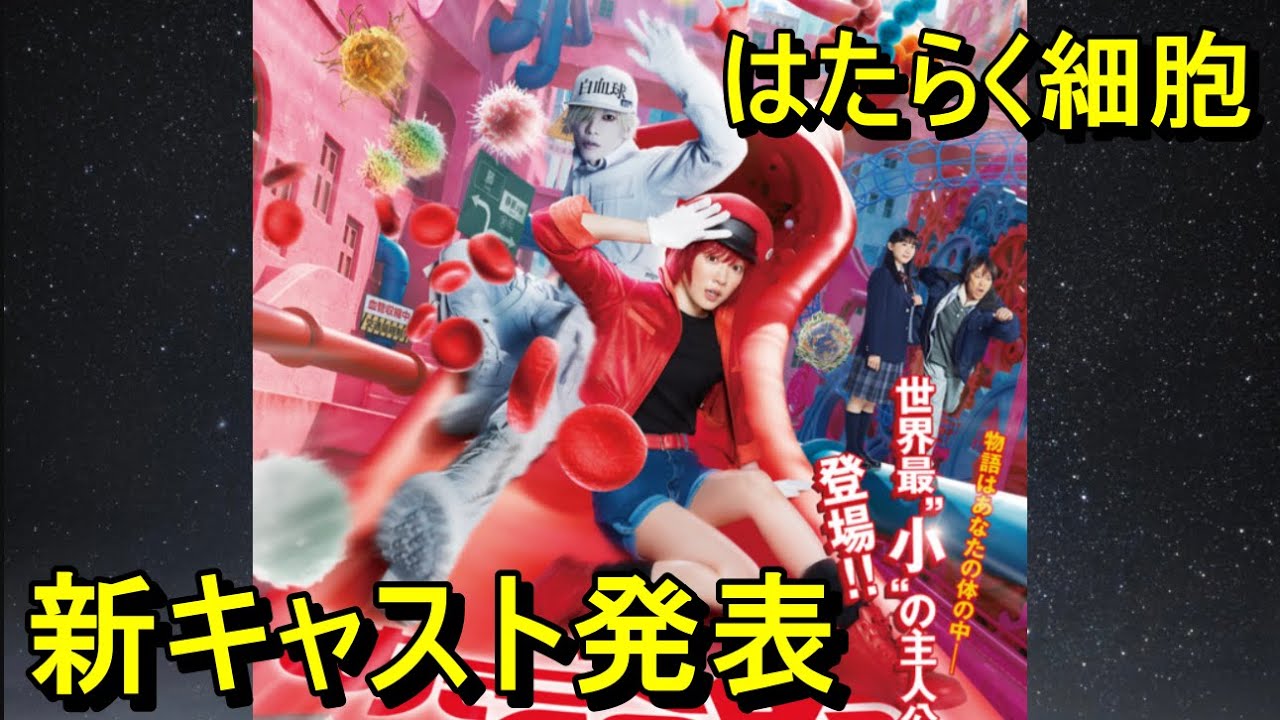 【はたらく細胞】新キャスト発表