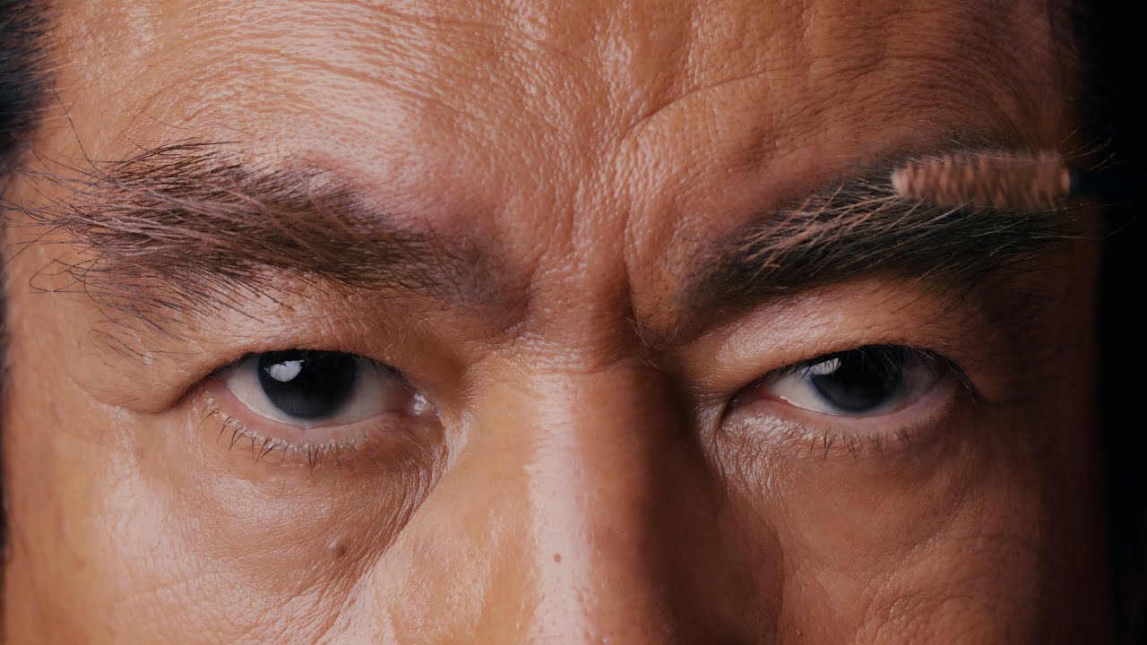 ケイト アイブロウカラーZ 藤岡ファミリー 眉毛に革命篇15秒 WEB