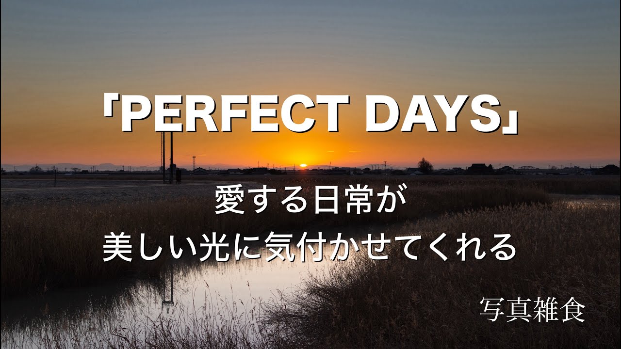 【映画感想】映画PERFECT DAYSは写真を撮る人にこそ観てほしい映画です【写真雑食】
