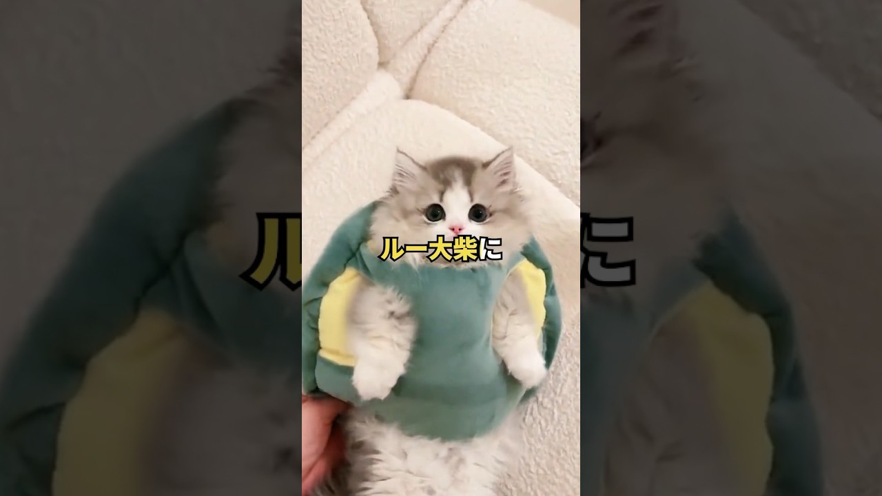 【2ch面白いスレ】なんJ民、いきなりルー大柴になる