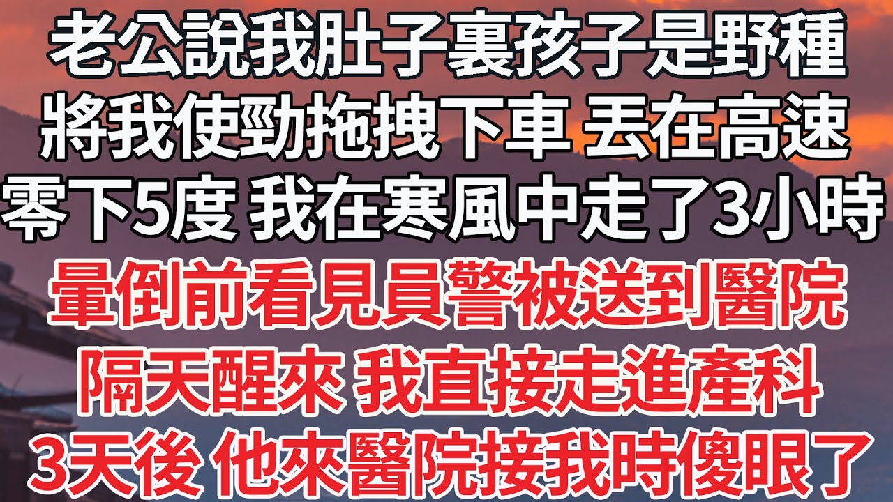 【完结】老公說我肚子裏孩子是野種，將我使勁拖拽下車 丟在高速，零下5度 我在寒風中走了3小時,暈倒前看見員警被送到醫院，隔天醒來 我直接走進產科，3天後 他來醫院接我時傻眼了【爽文】【爱情】【豪门】
