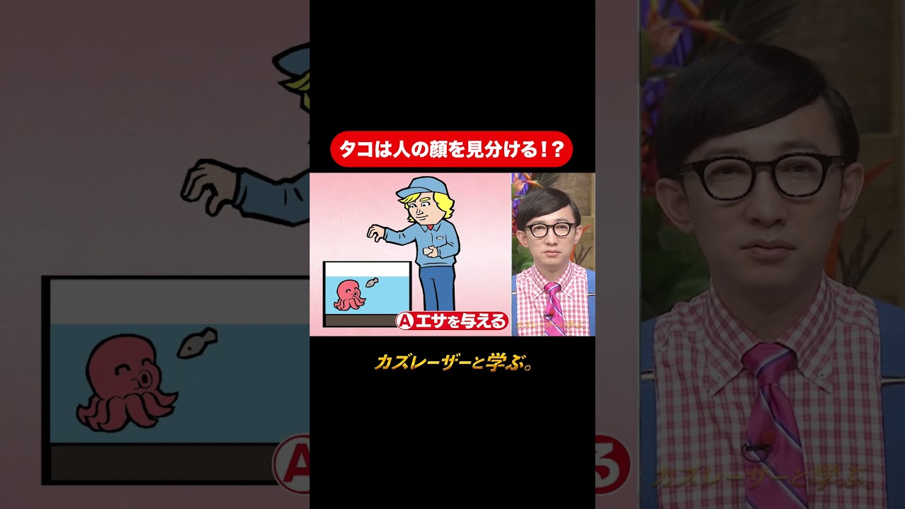 『カズレーザーと学ぶ。』【タコは人の顔を見分ける！？】毎週火曜よる10時から放送中！#カズレーザーと学ぶ。#カズレーザー#切り抜き#shorts