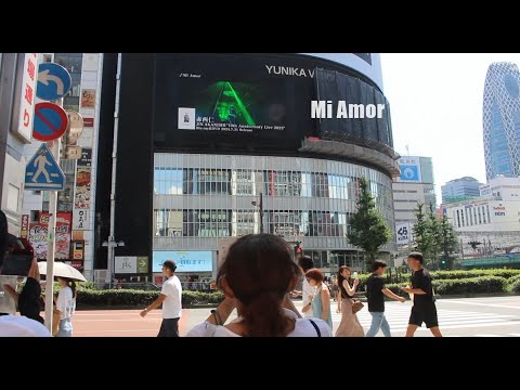 赤西仁 mi amor 赤西仁 ライブ 10周年 jin akanishi 10th カトゥーン kat-tun  錦戸亮 ダークマイト 亀梨和也 sixtones kattun ユニカビジョン