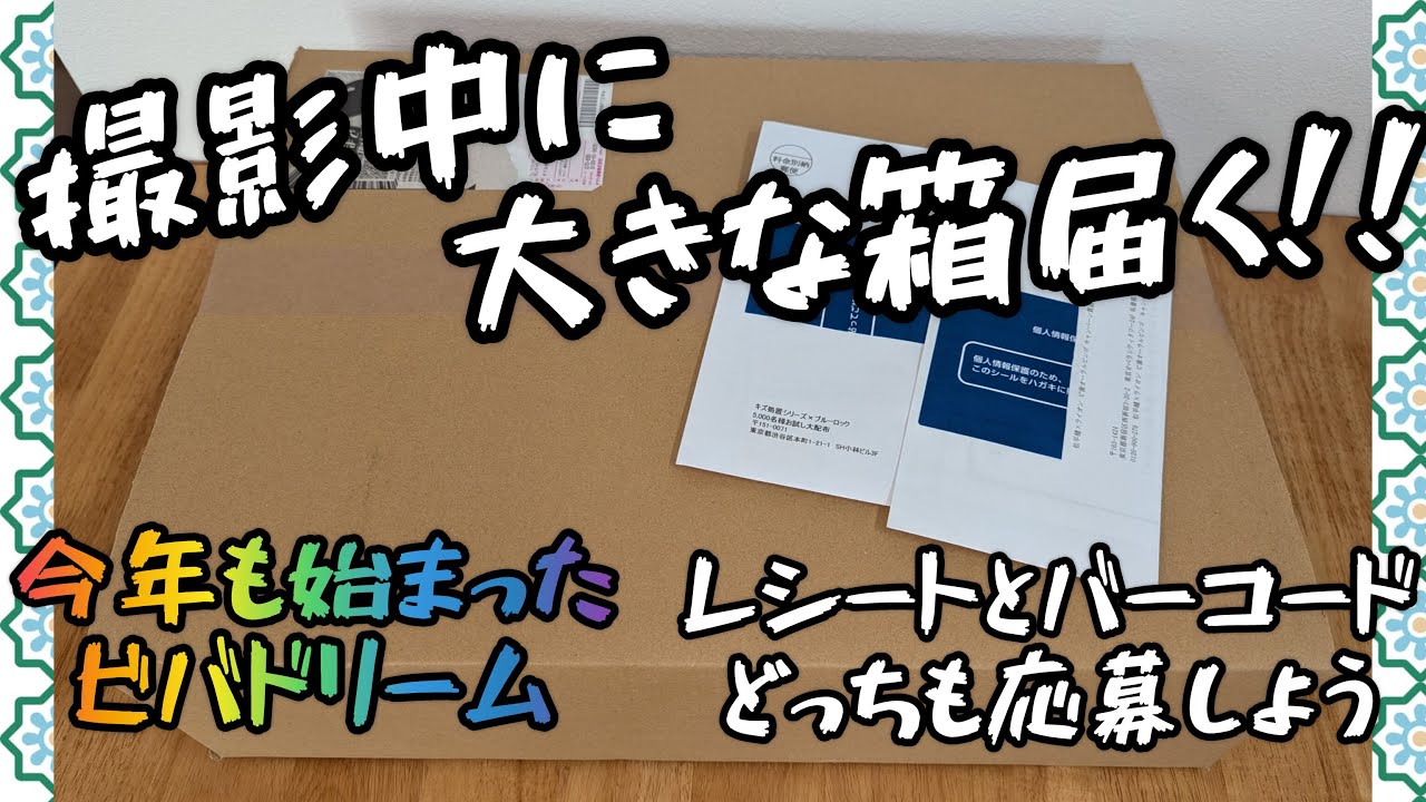 撮影中に荷物届く‥大きな箱と簡易書留開封〜他いろいろ当選しました!!ライオン、日清オイリオ、白十字サンプル、開けないやつはイオンが順調。懸賞情報　キリンビバレッジ　ビバドリームとベルマークCP