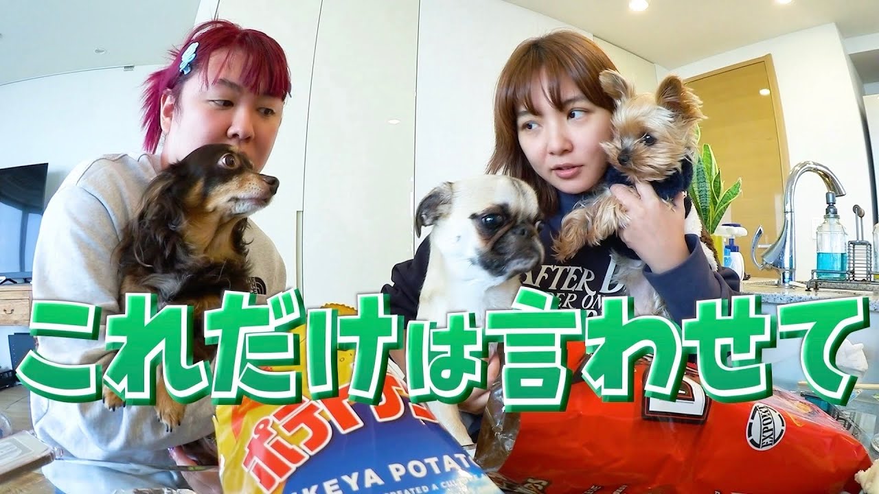 【野呂佳代＆ぺえ】わんこに癒されながら最近のイライラしたこと語る