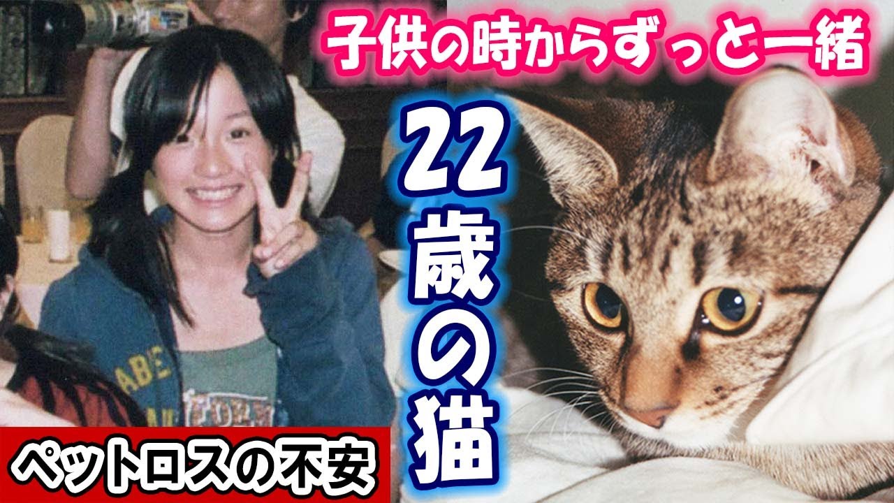 【共に歩んで22年】ペットロスの悲しみに備えて・・・