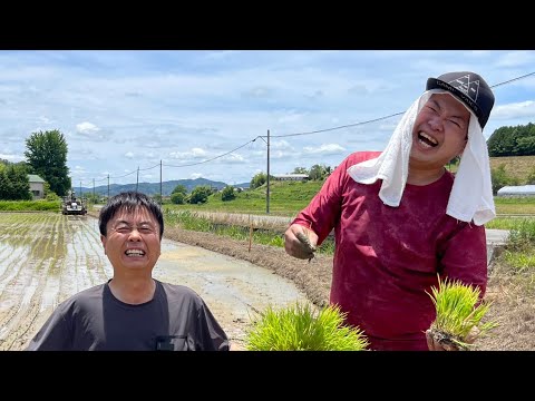 【河本準一×ハロー植田さん】田植え^_^稲刈りももうすぐっ⭐︎B'z芸人ハローちゃん達と皆様が手伝ってくれました！