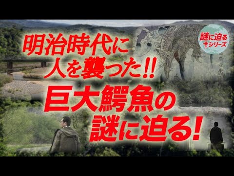明治時代に人を襲った！巨大鰐魚の謎に迫る！【謎に迫るシリーズ第三十四回】