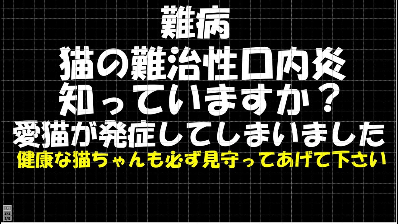 猫の難治性口内炎知っていますか？愛猫（任三郎）が発症してしまいました。健康な猫ちゃんも必ず見守ってあげて下さい。＃保護猫＃子猫＃kuromomo12345