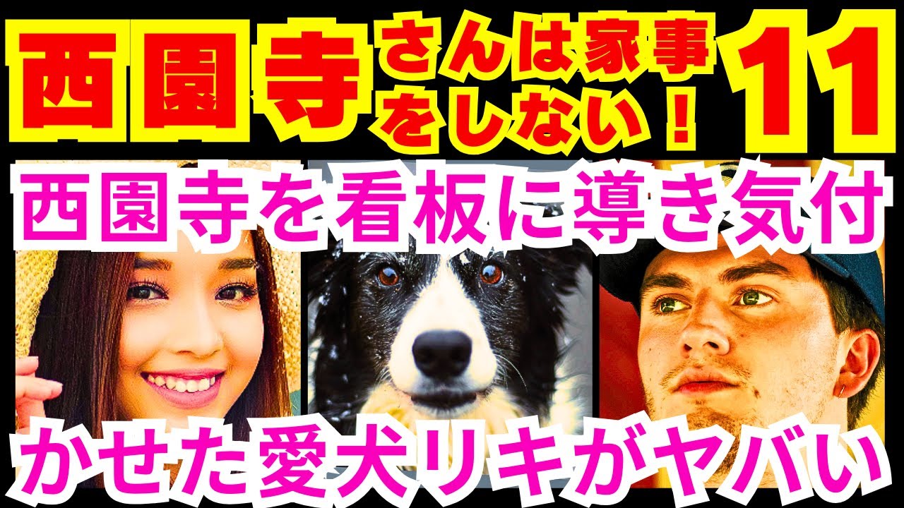 【西園寺さんは家事をしない  11話（最終回）】西園寺（松本若菜）が見つけた「迷った時にはこうするべきだ」という結論「●●●●●●●へバババと進めばいい」【松本若菜】【松村北斗】【SixTONES】