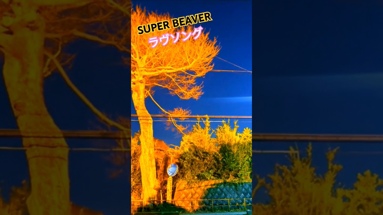 SUPER BEAVER「ラヴソング」にのせて風景を切り取ってみました #superbeaver #感動する曲 #恋愛 #渋谷龍太 #邦ロック #ラヴソング　#ラブソング