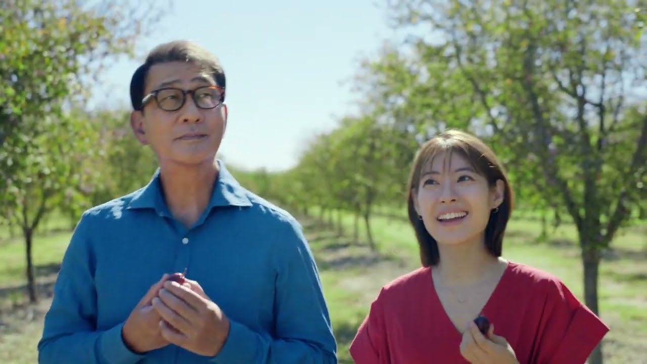 中井貴一、瀧本美織出演／三基商事「ミキプルーン」新CM「変わらないって深い」篇
