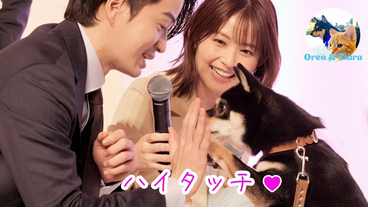 柴犬「私たちが恋する理由」菊池風磨さんとの一瞬にかけた涙