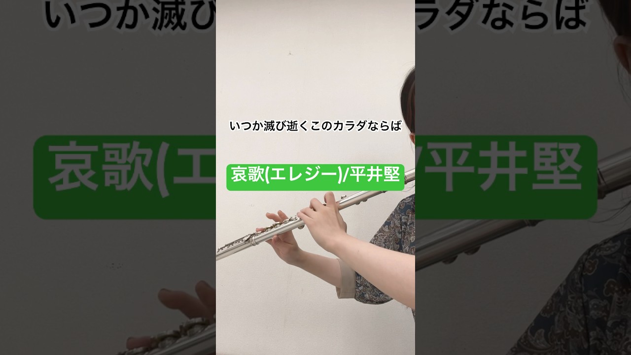 哀歌(エレジー)/平井堅【演奏してみた】【フルート】