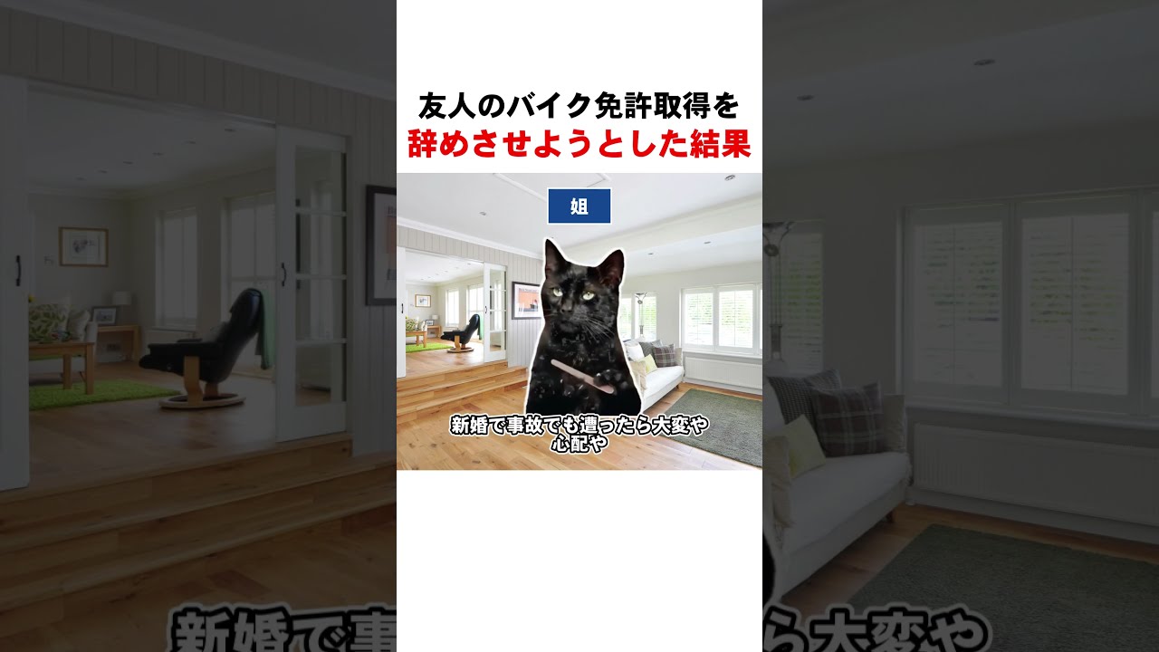 友人のバイク免許取得を辞めさせようとした結果… #shorts  #猫ミーム  #猫マニ #バイク女子