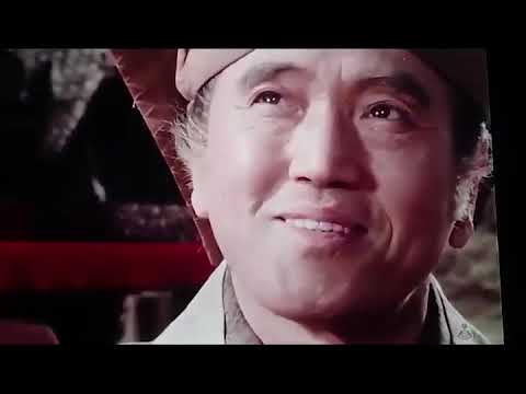 時代劇 闇を斬る! 大江戸犯科帳 第3部「裏切りと忠義の影で：江戸の闇に消えた命」