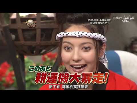 『イッテq』🌈🌈🌈 内村・宮川・手越が挑む 耕運機祭りinタイ