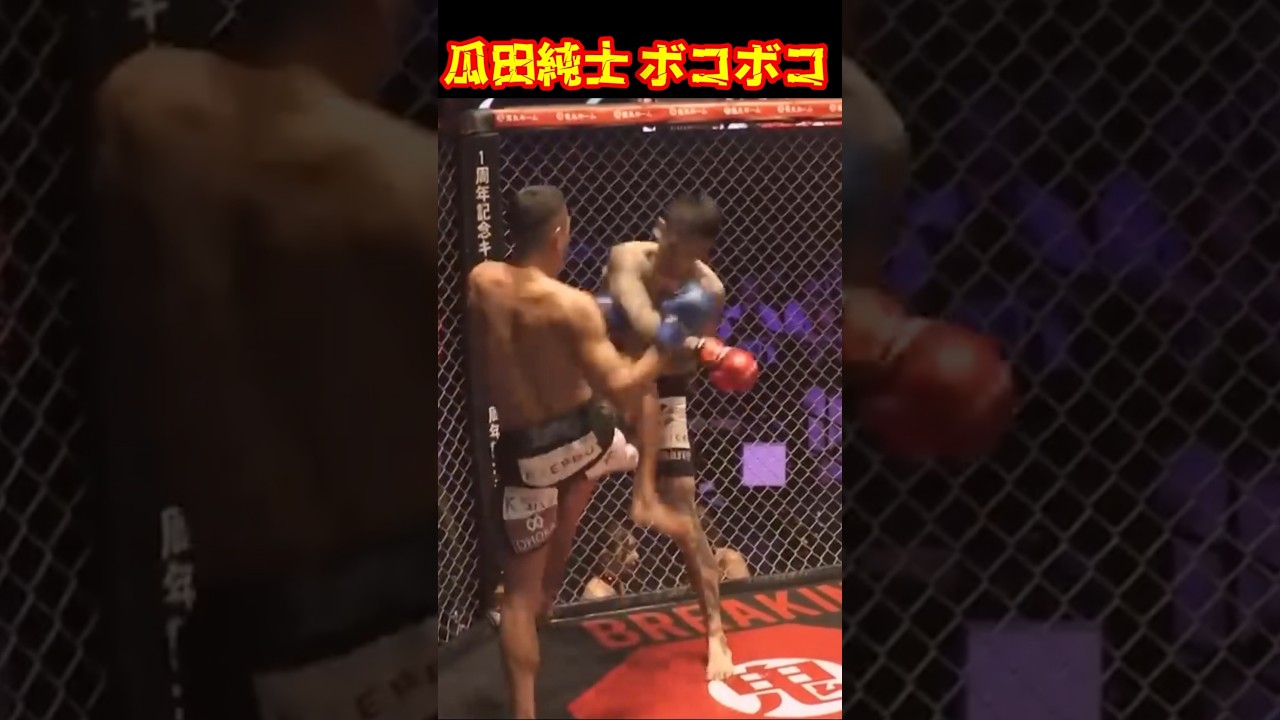 激アツ！瓜田純士vs黒石高大#ブレイキングダウン12 #瓜田純士 #黒石高大 #shorts