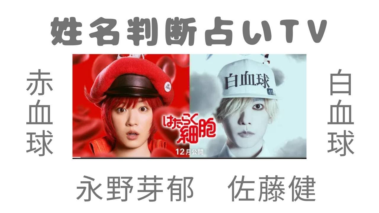 映画　働く細胞　☆佐藤健☆　☆永野芽衣☆