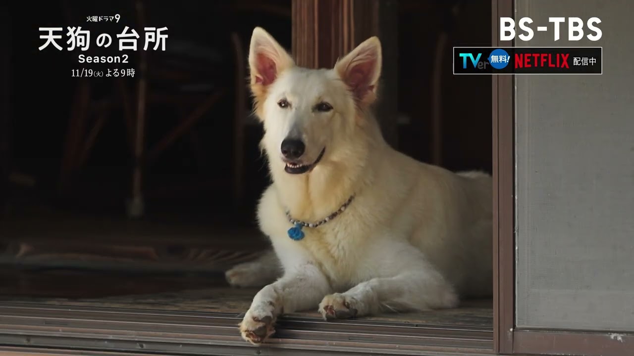BS‐TBS【天狗の台所 Ｓｅａｓｏｎ２】出演：駒木根葵汰・塩野瑛久・越山敬達▼第五話「米粉と蒟蒻」