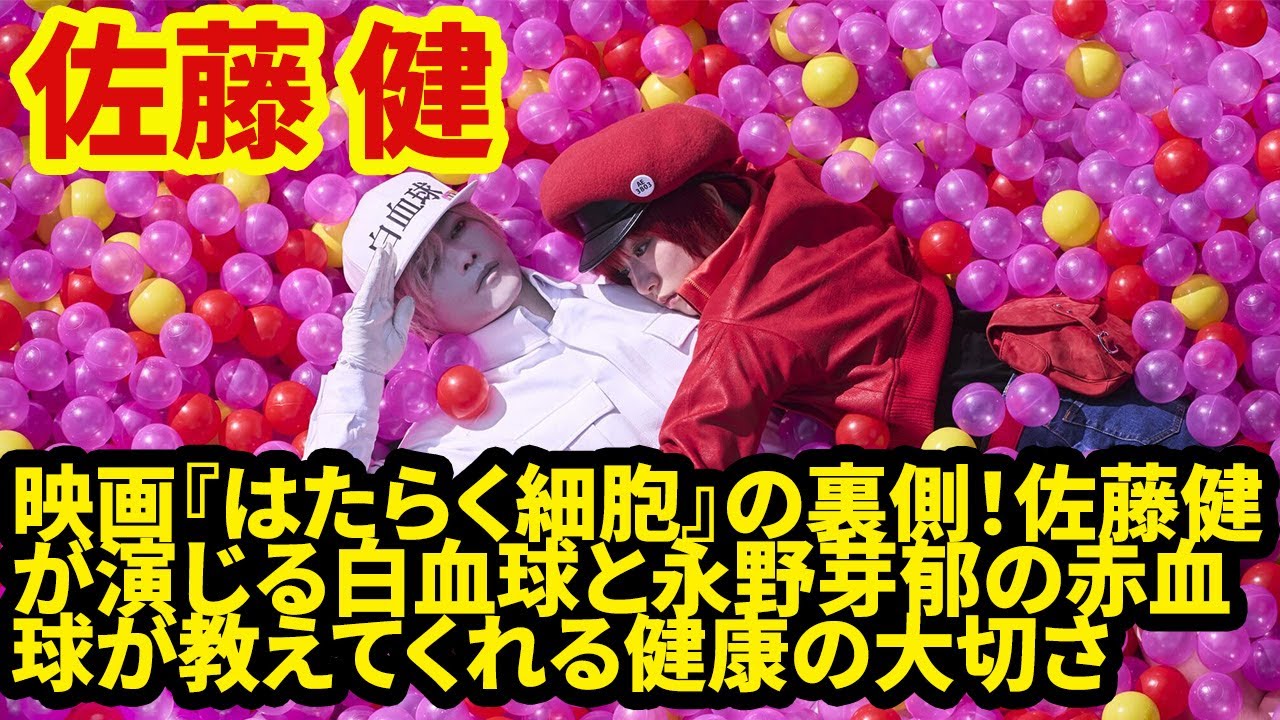 映画『はたらく細胞』の裏側！佐藤健が演じる白血球と永野芽郁の赤血球が教えてくれる健康の大切さ