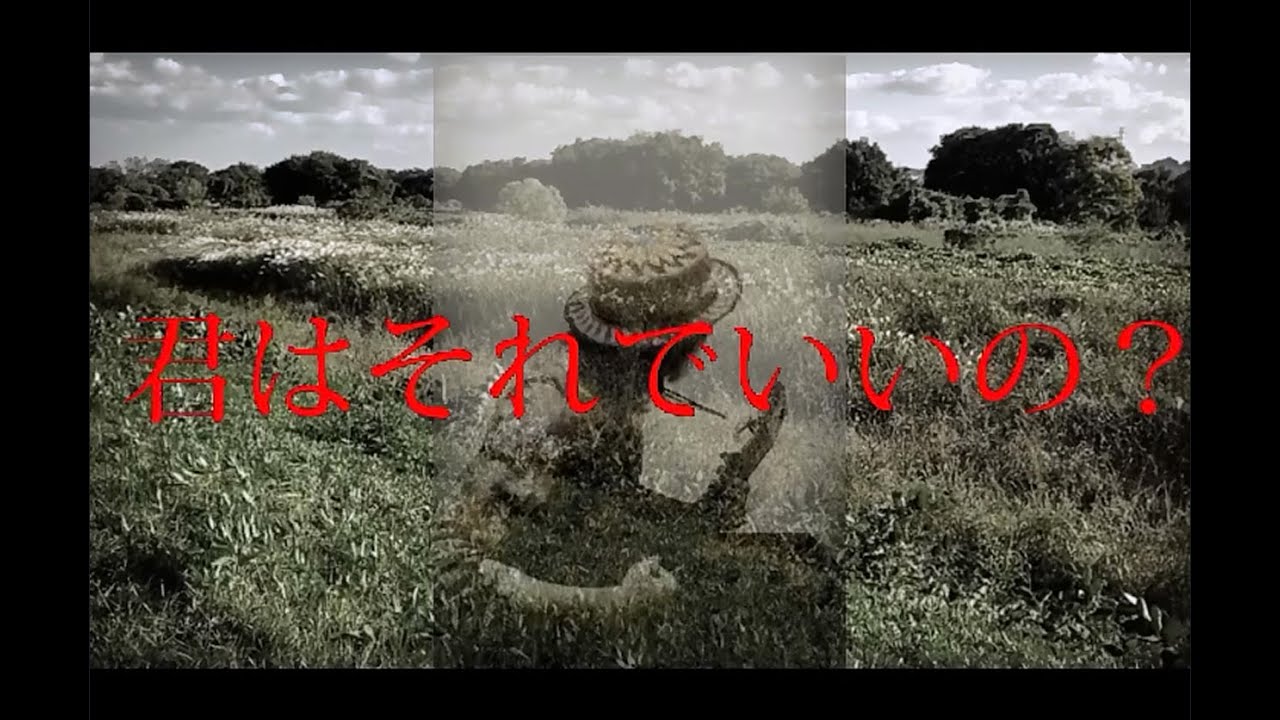 サヨナラCOLOR  SUPER BUTTER DOG ハナレグミ  cover j＊maya