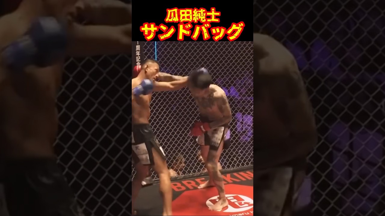 【優し過ぎる漢】瓜田純士vs黒石高大#ブレイキングダウン12 #瓜田純士 #黒石高大 #shorts