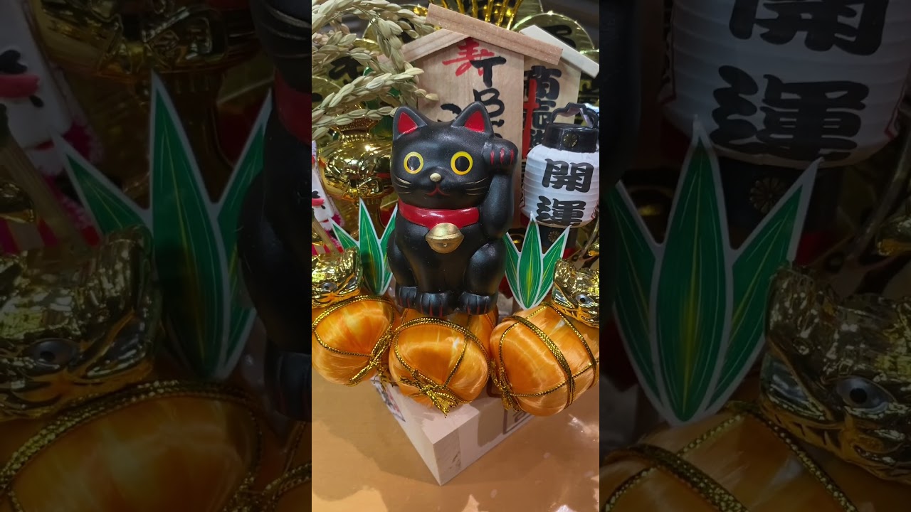 【縁起物】石山蓮華 x 菅良太郎 こねくと #shorts