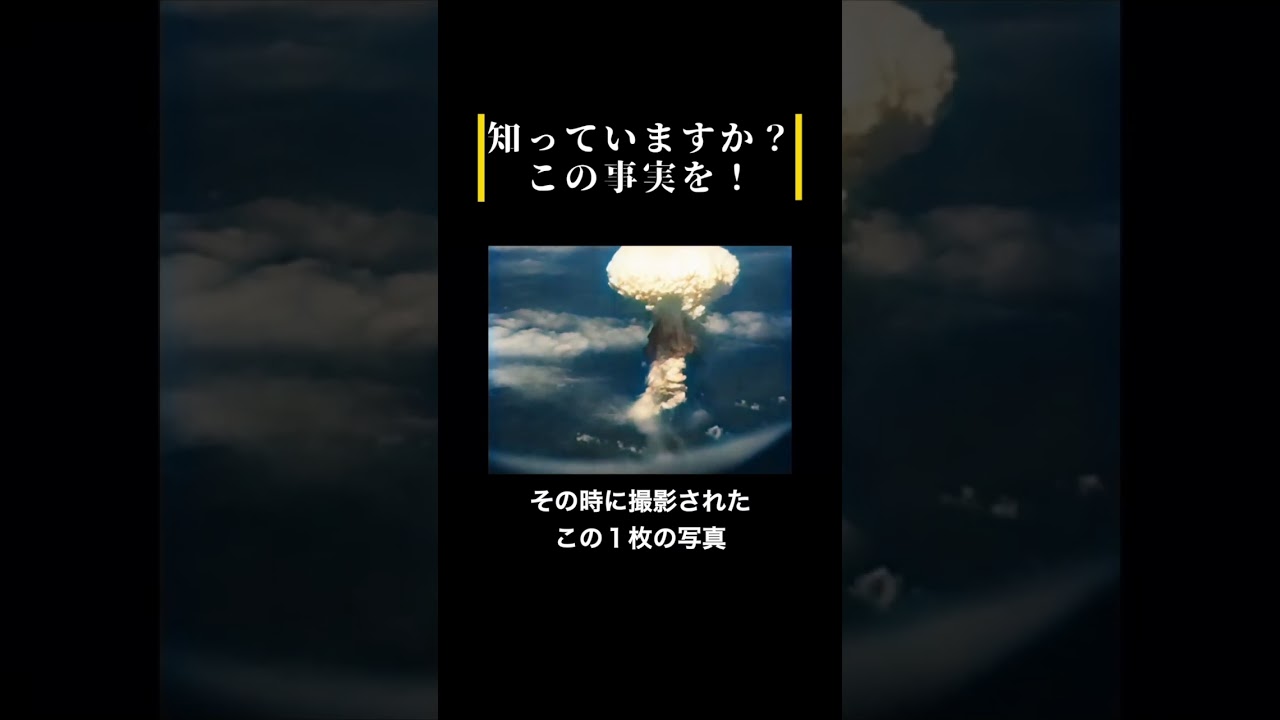 「知っていますか？この事実を」　 #あの花が咲く丘で君とまた出会えたら　 #戦争と平和　 #戦後