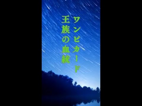 ワンピカードが熱い！～王族の血統