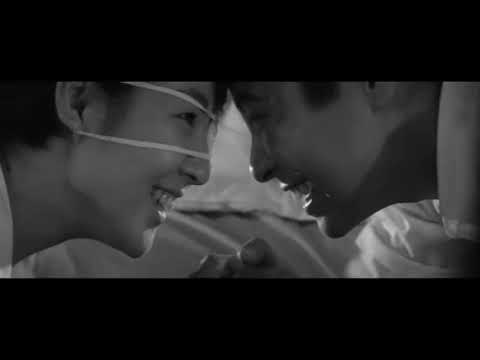 『愛と死をみつめて』主演：吉永小百合、浜田光夫　公開：1964年9月　配給：日活