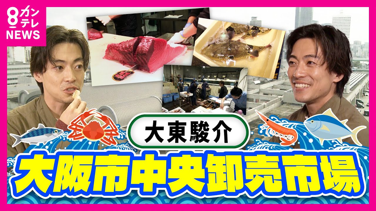 【大東駿介】“10万匹のフグ”を1カ月で出荷する「大阪市中央卸売市場」　削りたて「マグロ節」にダシ文化の奥深さ知る【大東駿介の発見！てくてく学】〈カンテレNEWS〉
