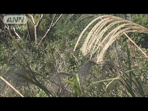 静岡の山に男性の遺体 逮捕の3人別の山にも立ち寄る(2024年12月10日)