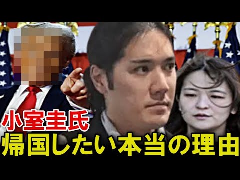 【緊急で撮影しました！】小室圭帰国報道の”真意”に言葉が出ない…「実は本当の理由は別にあった！」