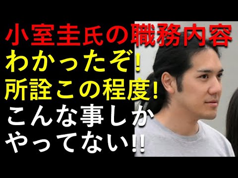 小室圭氏の職務内容、徹底解析しました！所詮はこの程度！仕事ないし。。。