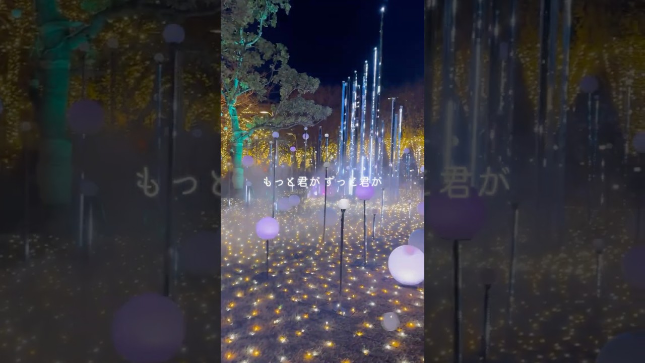 「WISH」を聴きながらイルミネーション🎄✨