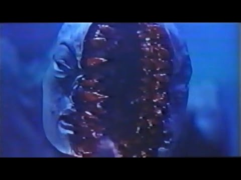 【映画紹介】孔雀王   ⑨