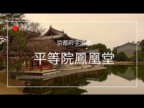 NHK大河ドラマ【光る君へ】京都府宇治市の平等院鳳凰堂に行ってきた。