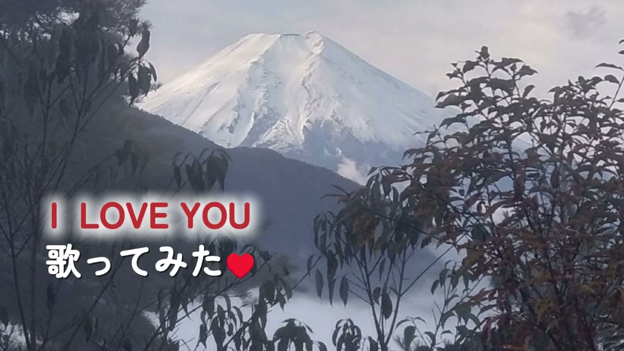 【しらたま歌ってみた】I LOVE YOU / 尾崎豊