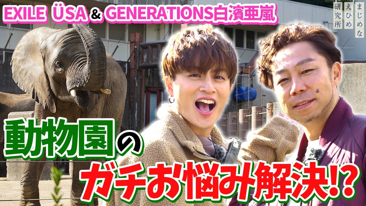 EXILE ÜSA & GENERATIONS 白濱亜嵐　松山市のとべ動物園のガチお悩み解決！？