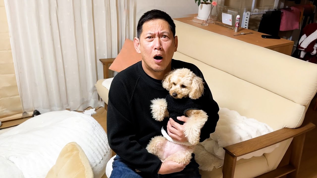 お父さんのCM出演が決まりました！！！