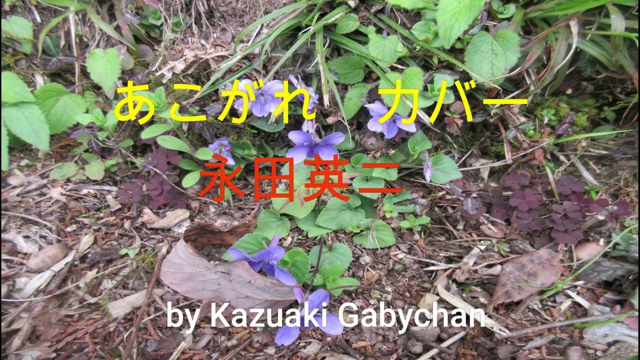 1969 "あこがれ””Akogare”永田英二 Eiji Nagata カバー, Covered by Kazuaki Gabychanあこがれ