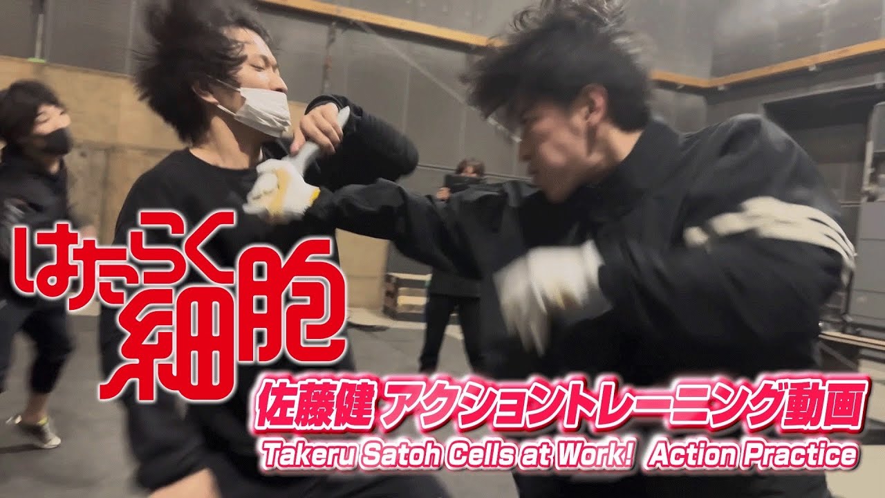 はたらく細胞　佐藤健アクショントレーニング動画 / Takeru Satoh Cells at Work!  Action Practice