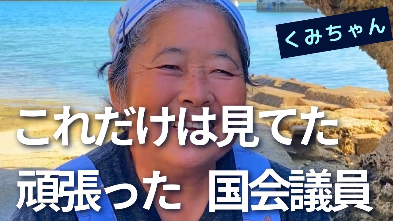 これだけは見てた　頑張った国会議員