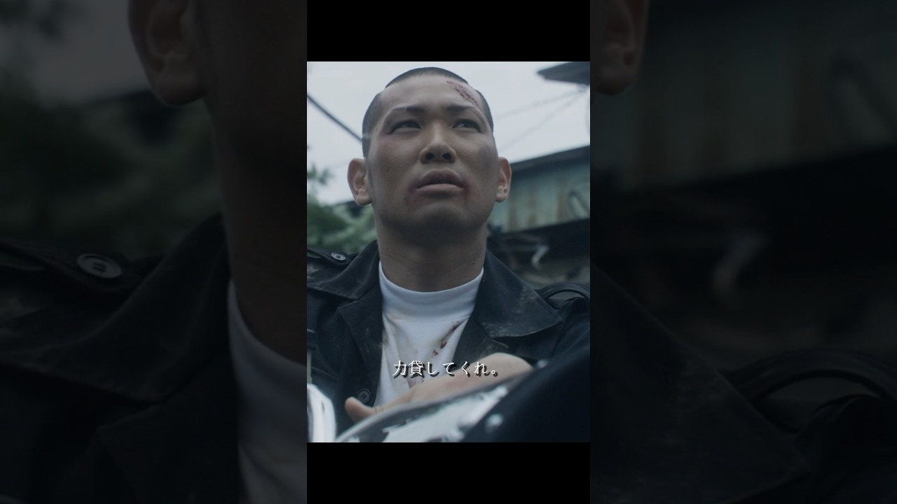 ドロップ 成宫宽贵、水岛宏、本仮屋唯佳 、波冈一喜 #movie #shorts #action #comedy